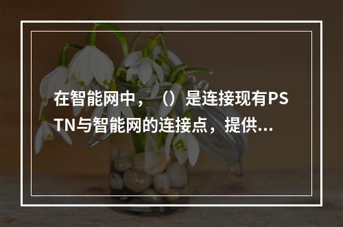 在智能网中，（）是连接现有PSTN与智能网的连接点，提供接入