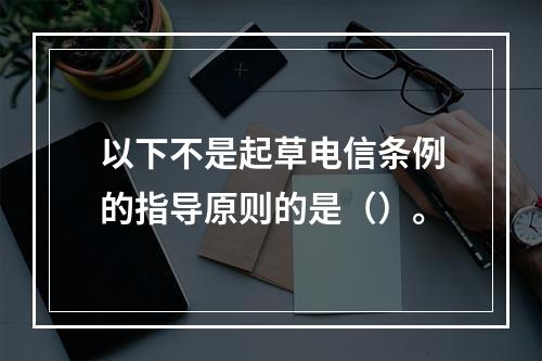 以下不是起草电信条例的指导原则的是（）。