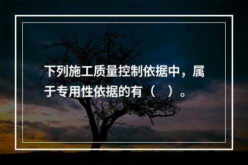 下列施工质量控制依据中，属于专用性依据的有（　）。