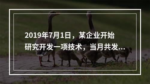 2019年7月1日，某企业开始研究开发一项技术，当月共发生研