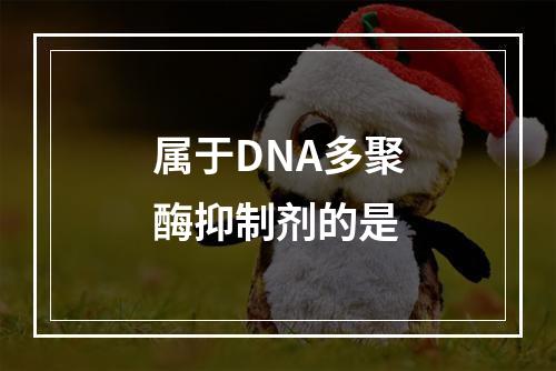 属于DNA多聚酶抑制剂的是