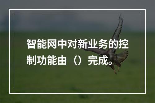 智能网中对新业务的控制功能由（）完成。