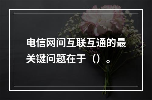 电信网间互联互通的最关键问题在于（）。