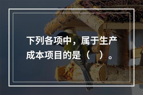 下列各项中，属于生产成本项目的是（　）。