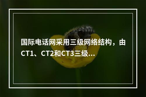 国际电话网采用三级网络结构，由CT1、CT2和CT3三级国际