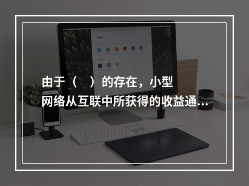 由于（     ）的存在，小型网络从互联中所获得的收益通常比