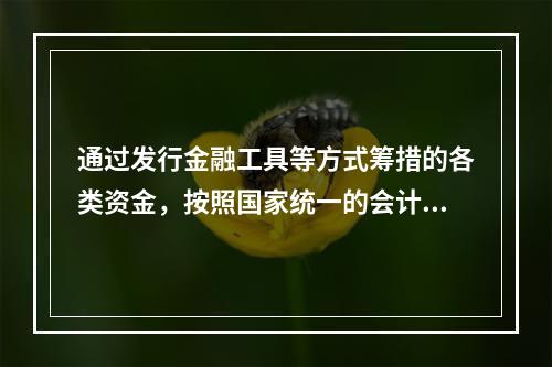 通过发行金融工具等方式筹措的各类资金，按照国家统一的会计制度