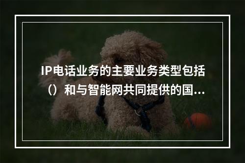 IP电话业务的主要业务类型包括（）和与智能网共同提供的国内和