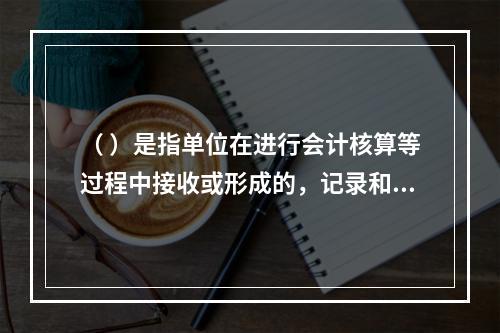 （ ）是指单位在进行会计核算等过程中接收或形成的，记录和反映