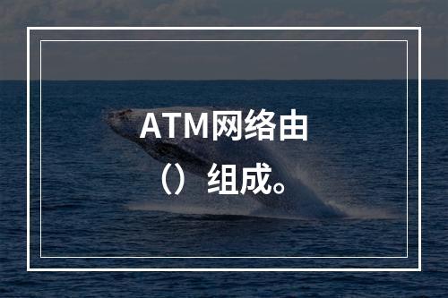 ATM网络由（）组成。