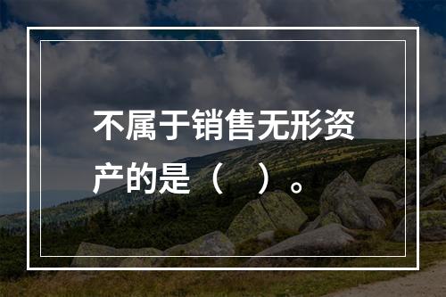 不属于销售无形资产的是（　）。