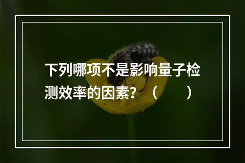 下列哪项不是影响量子检测效率的因素？（　　）