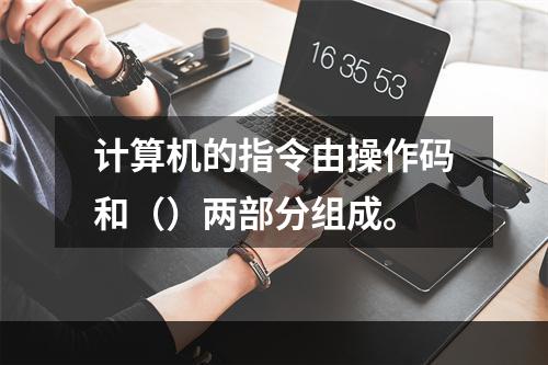 计算机的指令由操作码和（）两部分组成。