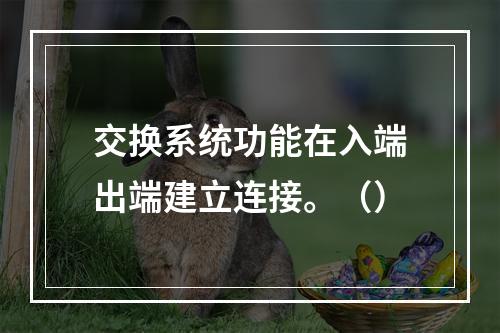 交换系统功能在入端出端建立连接。（）