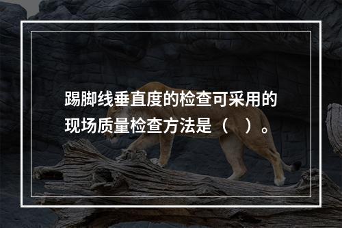 踢脚线垂直度的检查可采用的现场质量检查方法是（　）。