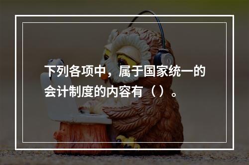 下列各项中，属于国家统一的会计制度的内容有（ ）。