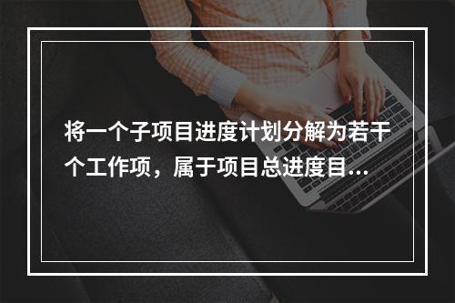 将一个子项目进度计划分解为若干个工作项，属于项目总进度目标论