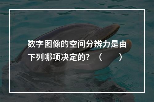 数字图像的空间分辨力是由下列哪项决定的？（　　）