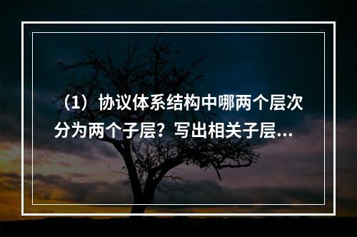 （1）协议体系结构中哪两个层次分为两个子层？写出相关子层的名