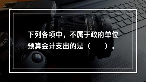 下列各项中，不属于政府单位预算会计支出的是（　　）。