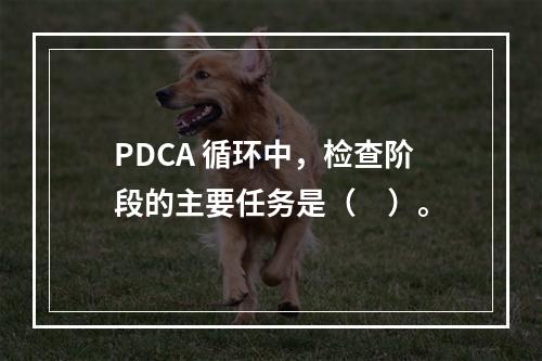 PDCA 循环中，检查阶段的主要任务是（　）。