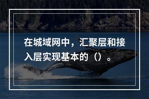 在城域网中，汇聚层和接入层实现基本的（）。