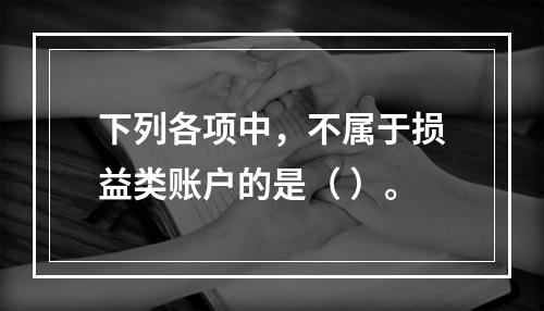 下列各项中，不属于损益类账户的是（ ）。