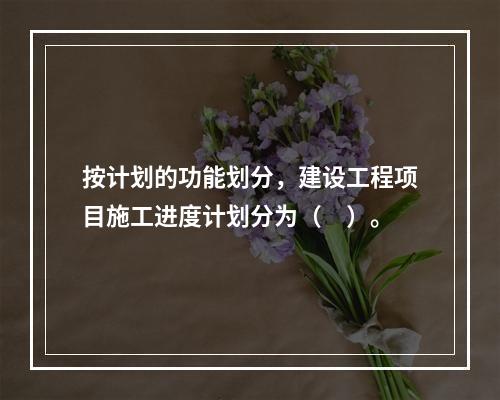 按计划的功能划分，建设工程项目施工进度计划分为（　）。