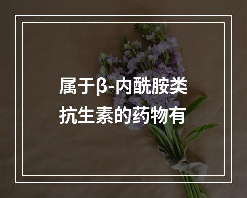 属于β-内酰胺类抗生素的药物有