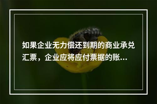 如果企业无力偿还到期的商业承兑汇票，企业应将应付票据的账面余