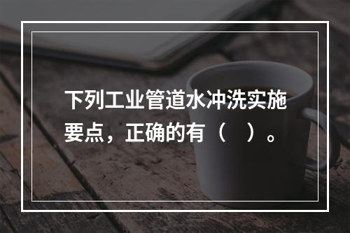 下列工业管道水冲洗实施要点，正确的有（　）。