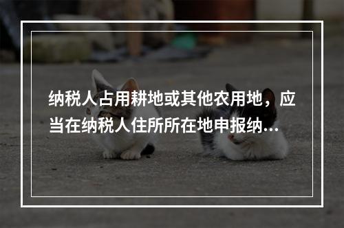 纳税人占用耕地或其他农用地，应当在纳税人住所所在地申报纳税。