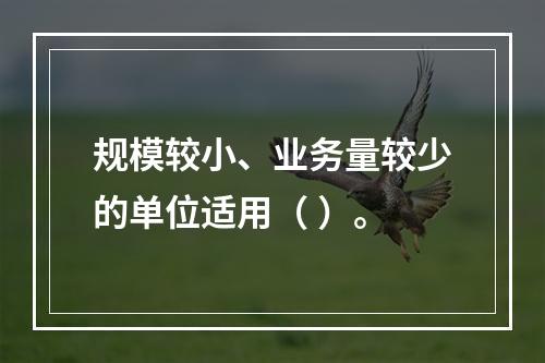 规模较小、业务量较少的单位适用（ ）。