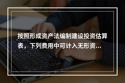 按照形成资产法编制建设投资估算表，下列费用中可计入无形资产