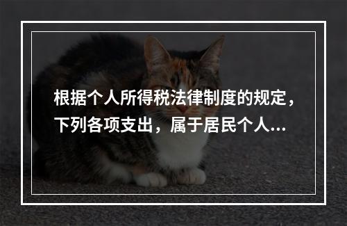 根据个人所得税法律制度的规定，下列各项支出，属于居民个人综合