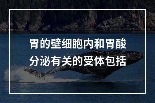 胃的壁细胞内和胃酸分泌有关的受体包括