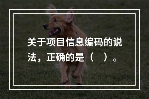 关于项目信息编码的说法，正确的是（　）。