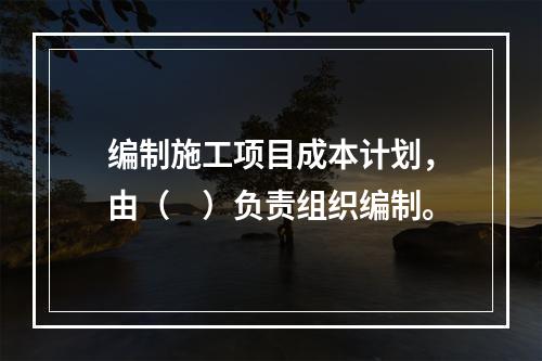 编制施工项目成本计划，由（　）负责组织编制。