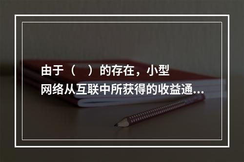 由于（     ）的存在，小型网络从互联中所获得的收益通常比