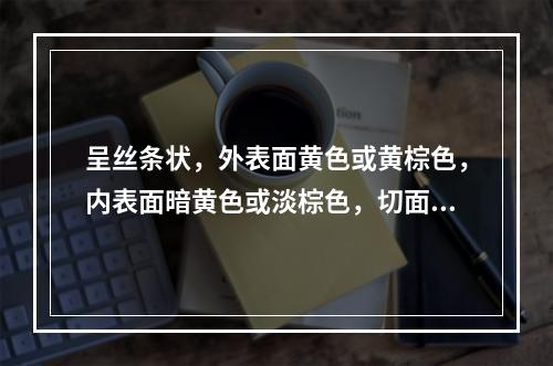 呈丝条状，外表面黄色或黄棕色，内表面暗黄色或淡棕色，切面纤维