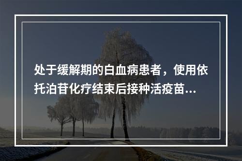 处于缓解期的白血病患者，使用依托泊苷化疗结束后接种活疫苗的间