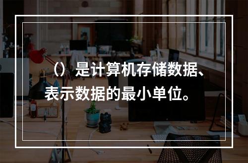 （）是计算机存储数据、表示数据的最小单位。