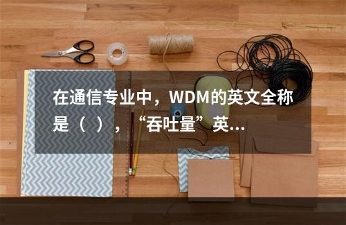 在通信专业中，WDM的英文全称是（   ），“吞吐量”英文通