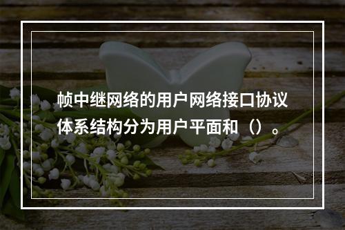 帧中继网络的用户网络接口协议体系结构分为用户平面和（）。