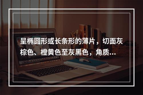 呈椭圆形或长条形的薄片，切面灰棕色、橙黄色至灰黑色，角质样，