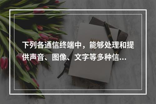 下列各通信终端中，能够处理和提供声音、图像、文字等多种信息的