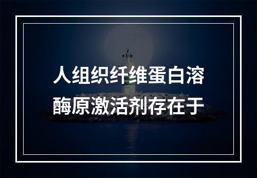 人组织纤维蛋白溶酶原激活剂存在于