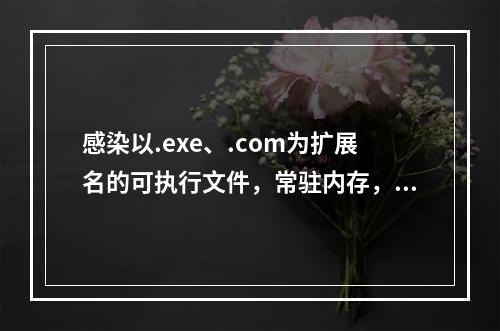 感染以.exe、.com为扩展名的可执行文件，常驻内存，感染