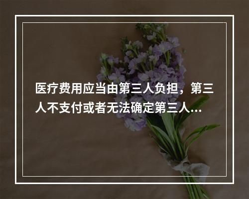 医疗费用应当由第三人负担，第三人不支付或者无法确定第三人的，