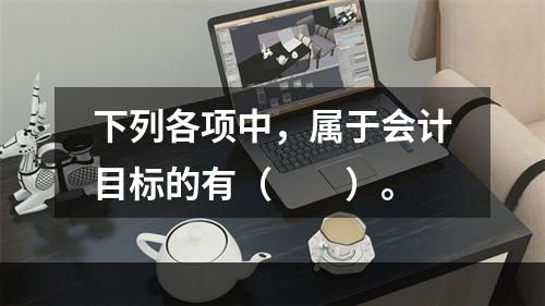 下列各项中，属于会计目标的有（　　）。